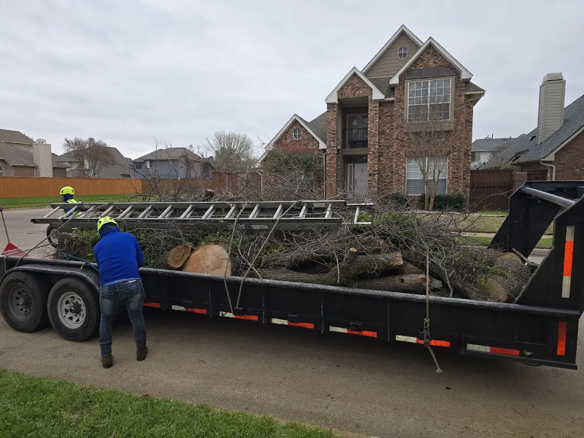 Expert Tree Removal with proper safety equipment in Independence